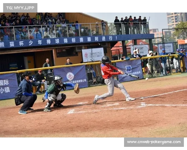 浙江青少年棒球赛促进本土棒球粉丝社群凝聚与文化培育